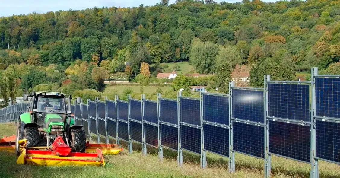 Neosun Fences for Agriculture
