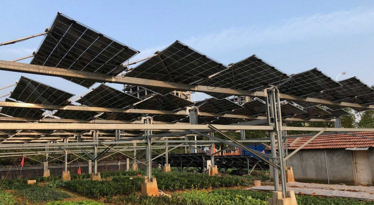 agrivoltaic neosun